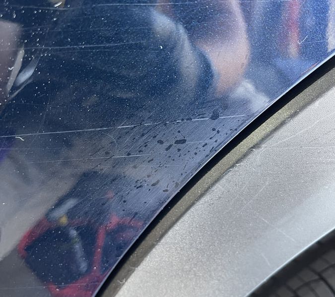 Vehicle paint before correction showing swirl marks and imperfections