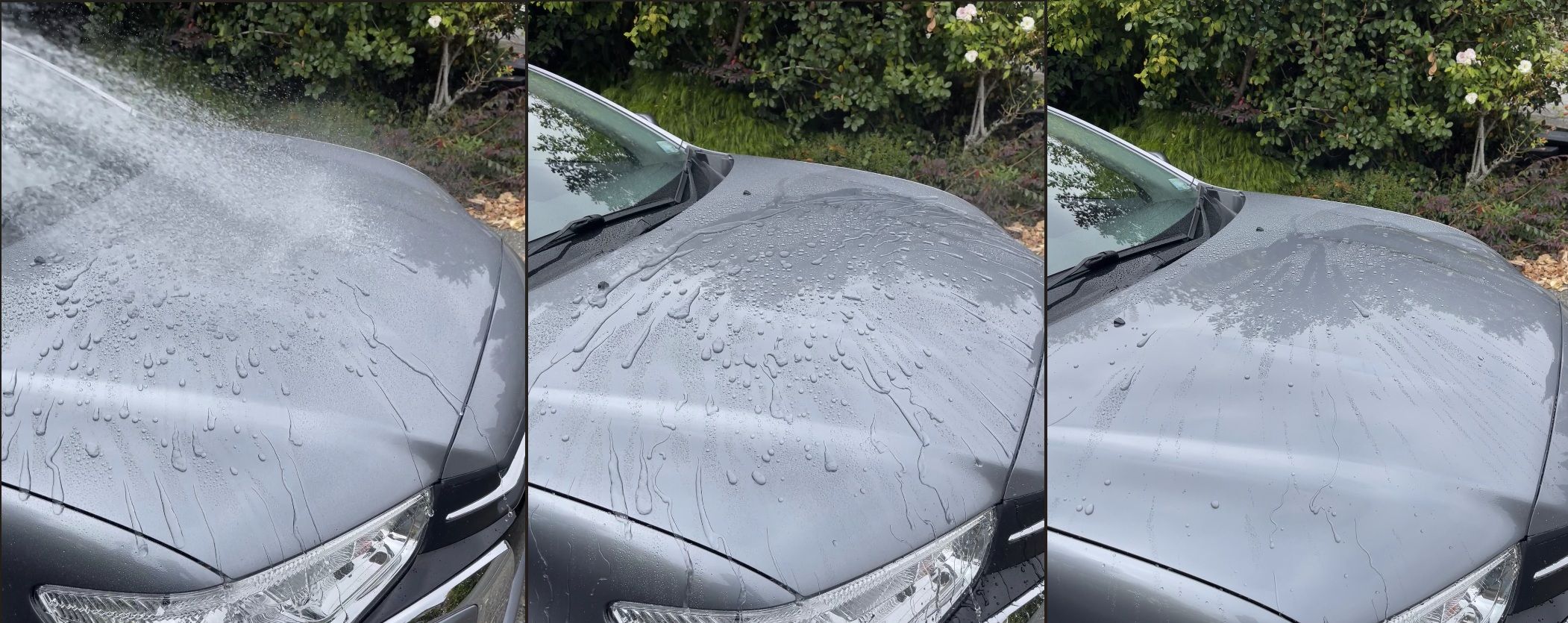 Dramatic water beading on ceramic coated vehicle surface demonstrating hydrophobic properties
