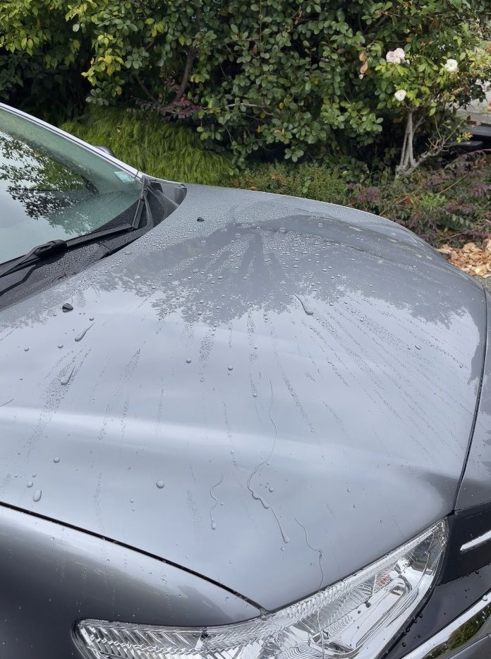 Comparison showing excellent water beading on properly maintained coating versus reduced beading indicating need for decontamination