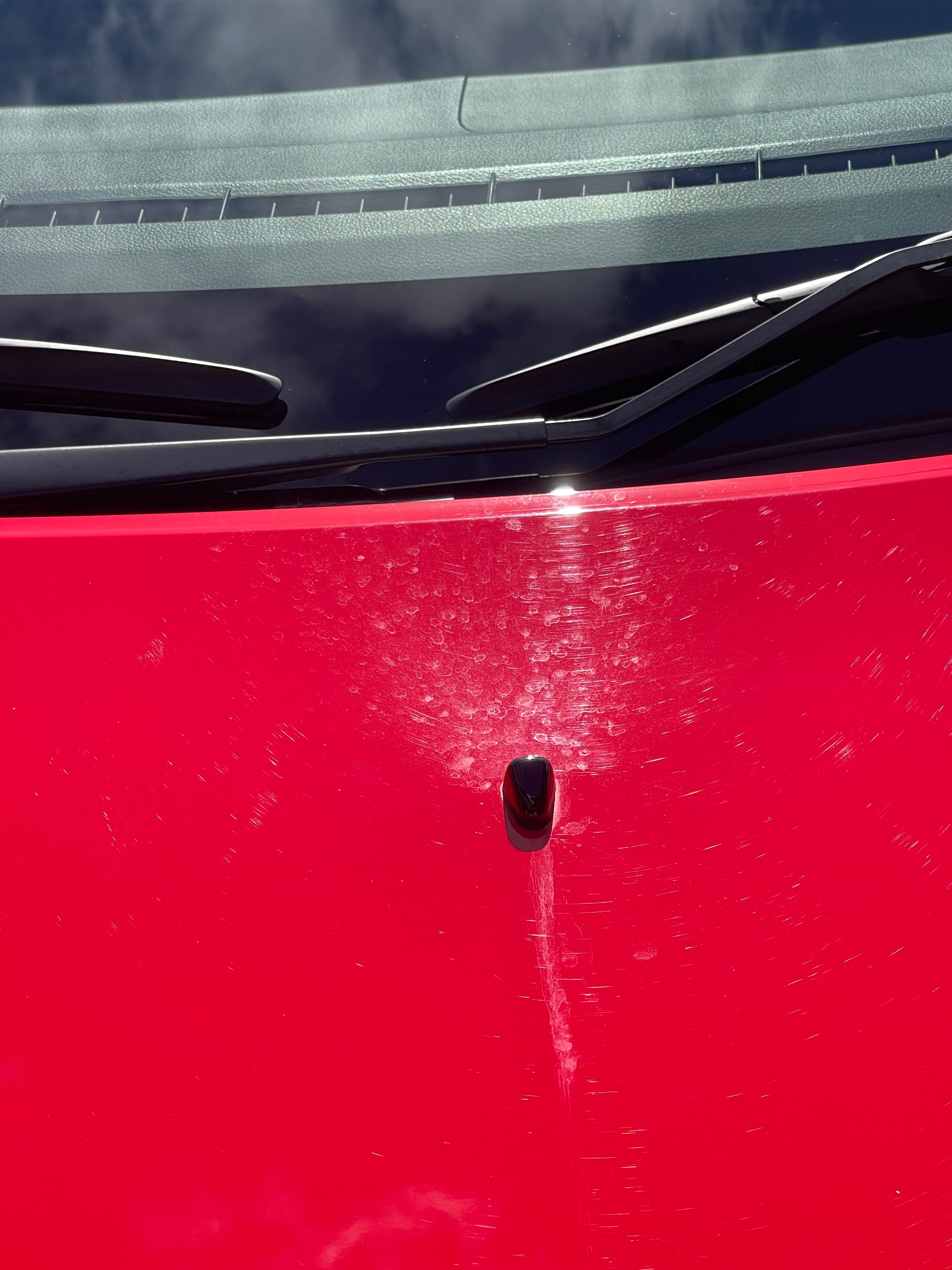 Water spots from washer fluid jets showing the type of mineral deposits proper drying techniques prevent