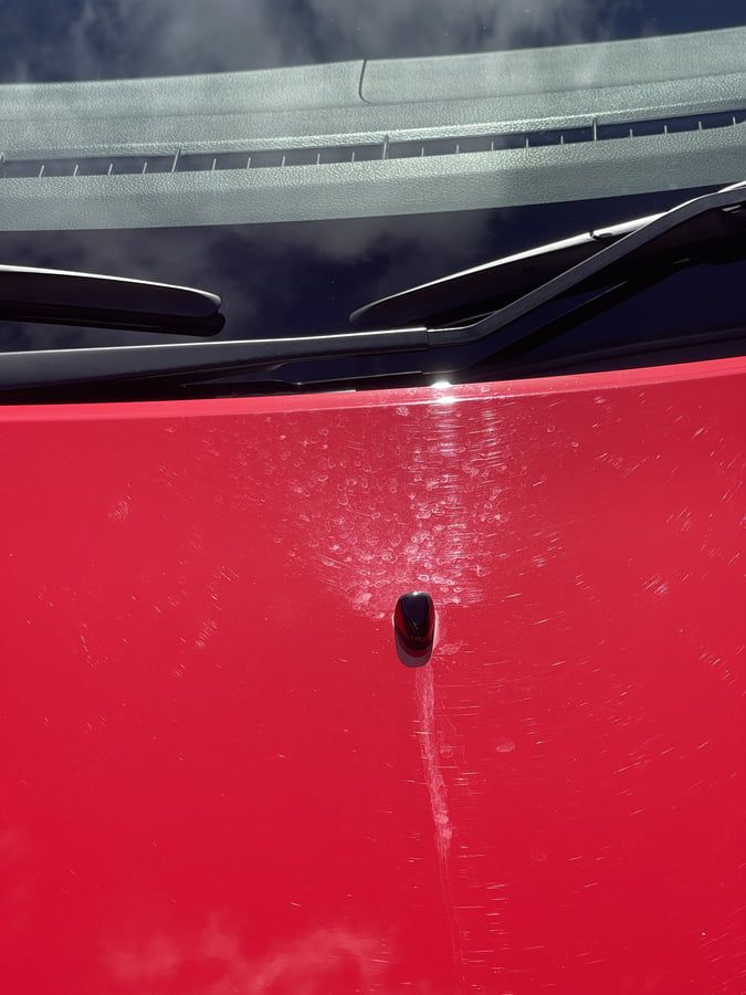 Water spots from washer fluid jets showing the type of mineral deposits proper drying techniques prevent